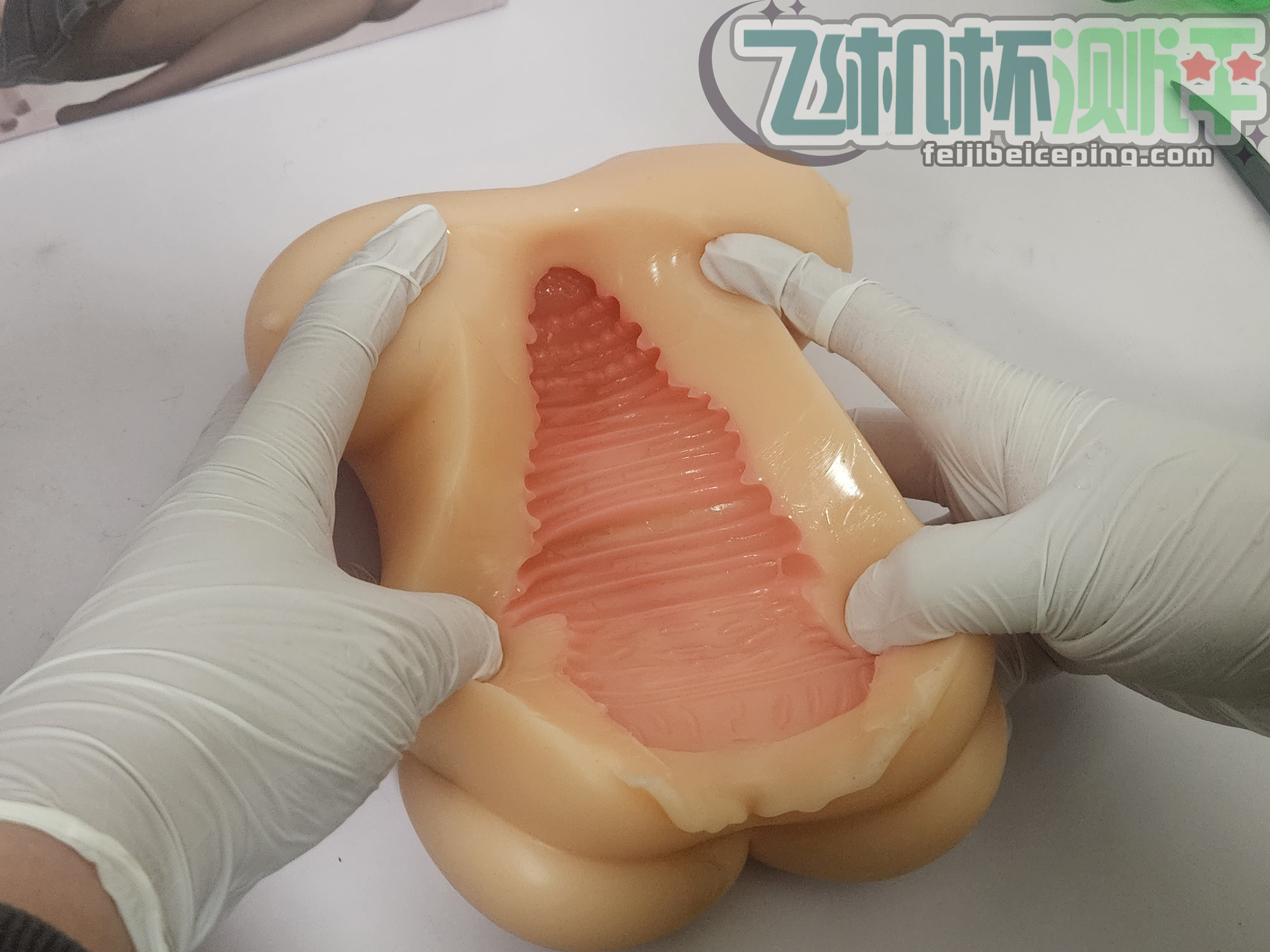 C3A1E7C6CD99076C3F0A5B1BFF17A024 y