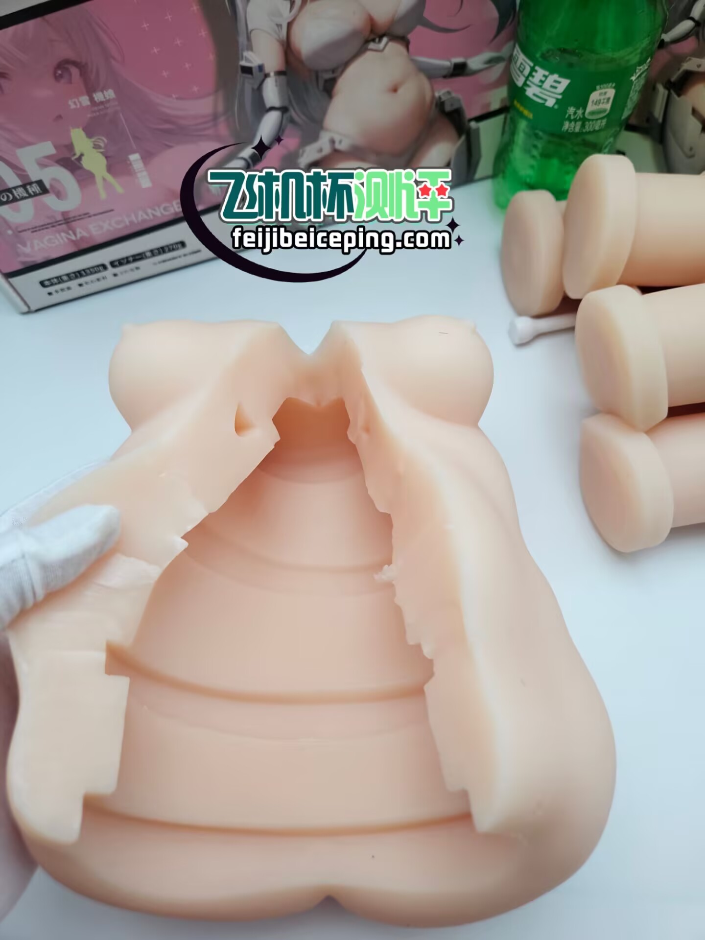 0F8AB002C26533072409479DC1B97F0E