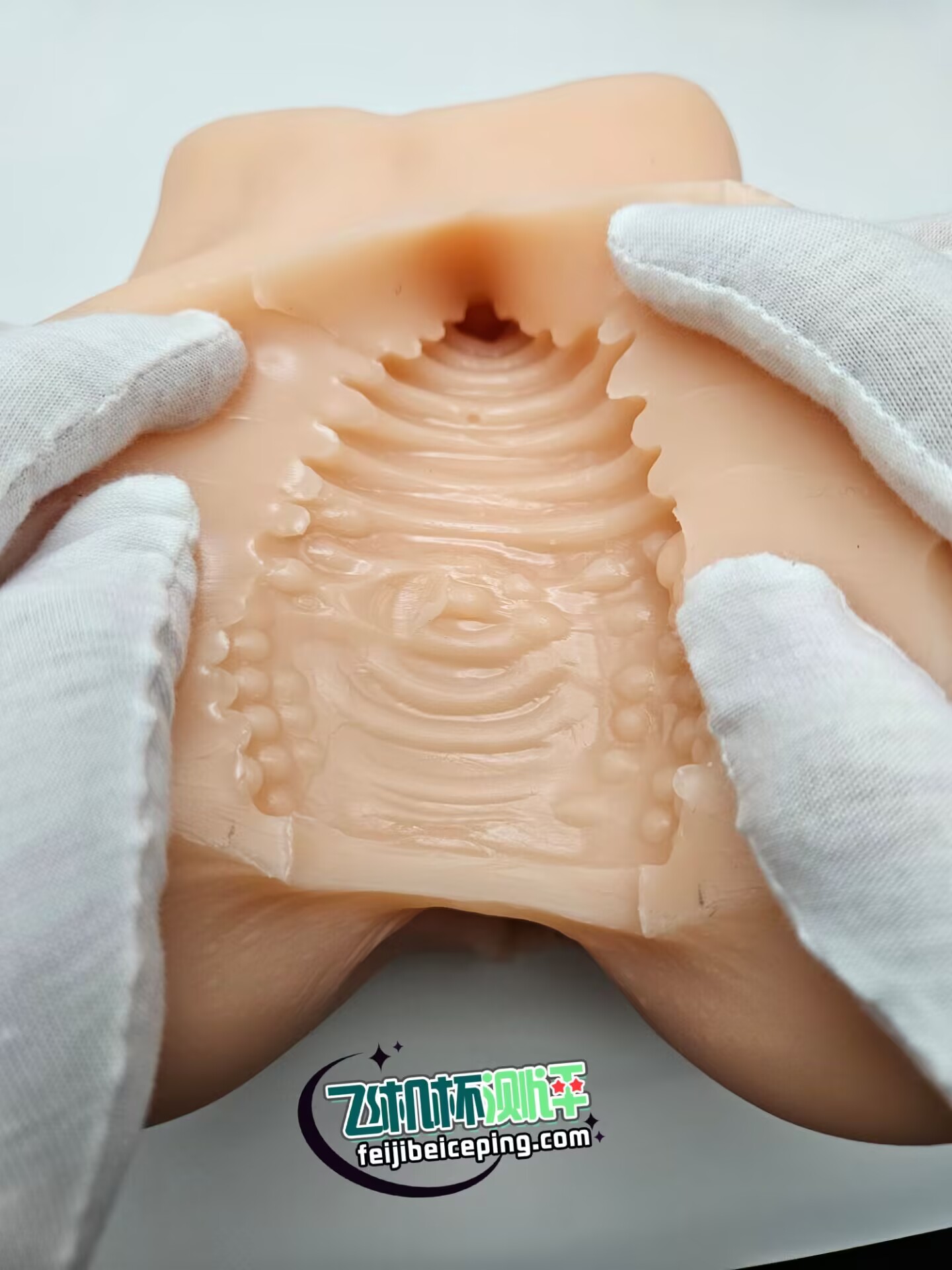 6BF0D0A2A679CCFCA110B8D35A849E07