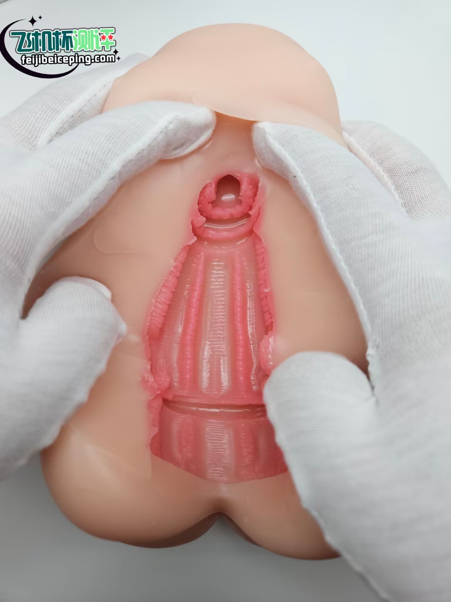 A205541FCD1A91048B1EC3578CDA8096