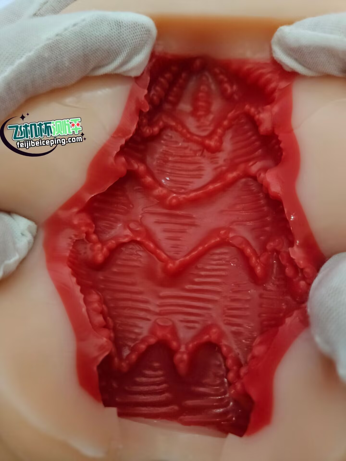 A8AE0F6F6B46EFB3A063BC8F4D96193E