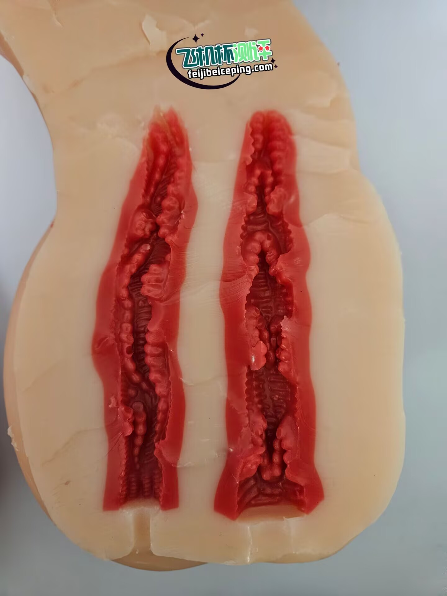 A9C153F09FF811B0CB2826F7336D0EB8