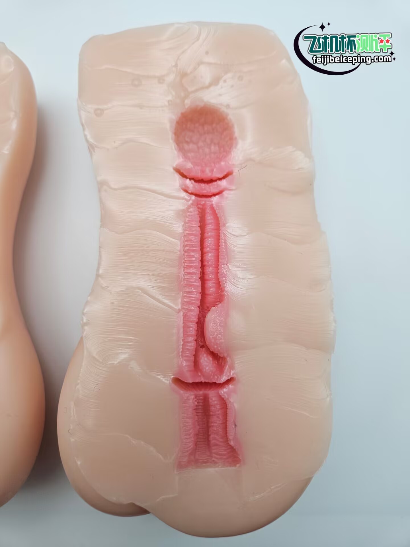 D5AB61DC78BB4C5041F249951A58A876