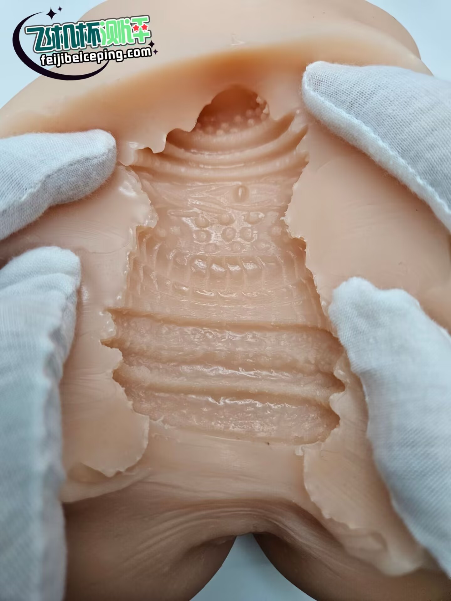 E0A269608A16C77416D6EDFBD91E5CD2