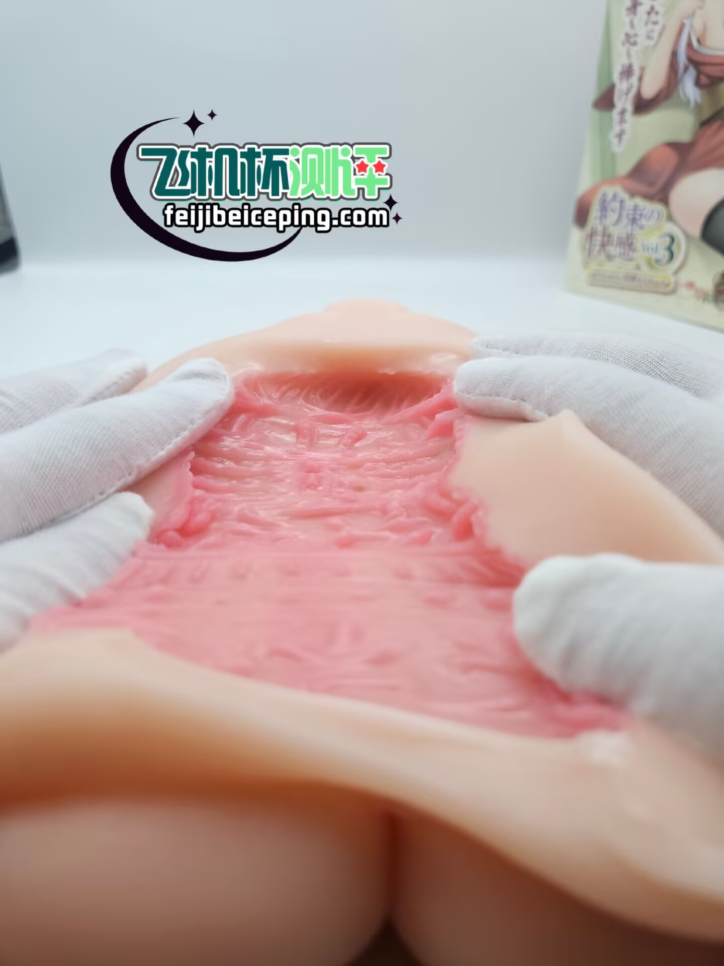 21927B8986268A1B1A267CC76B6B8C02