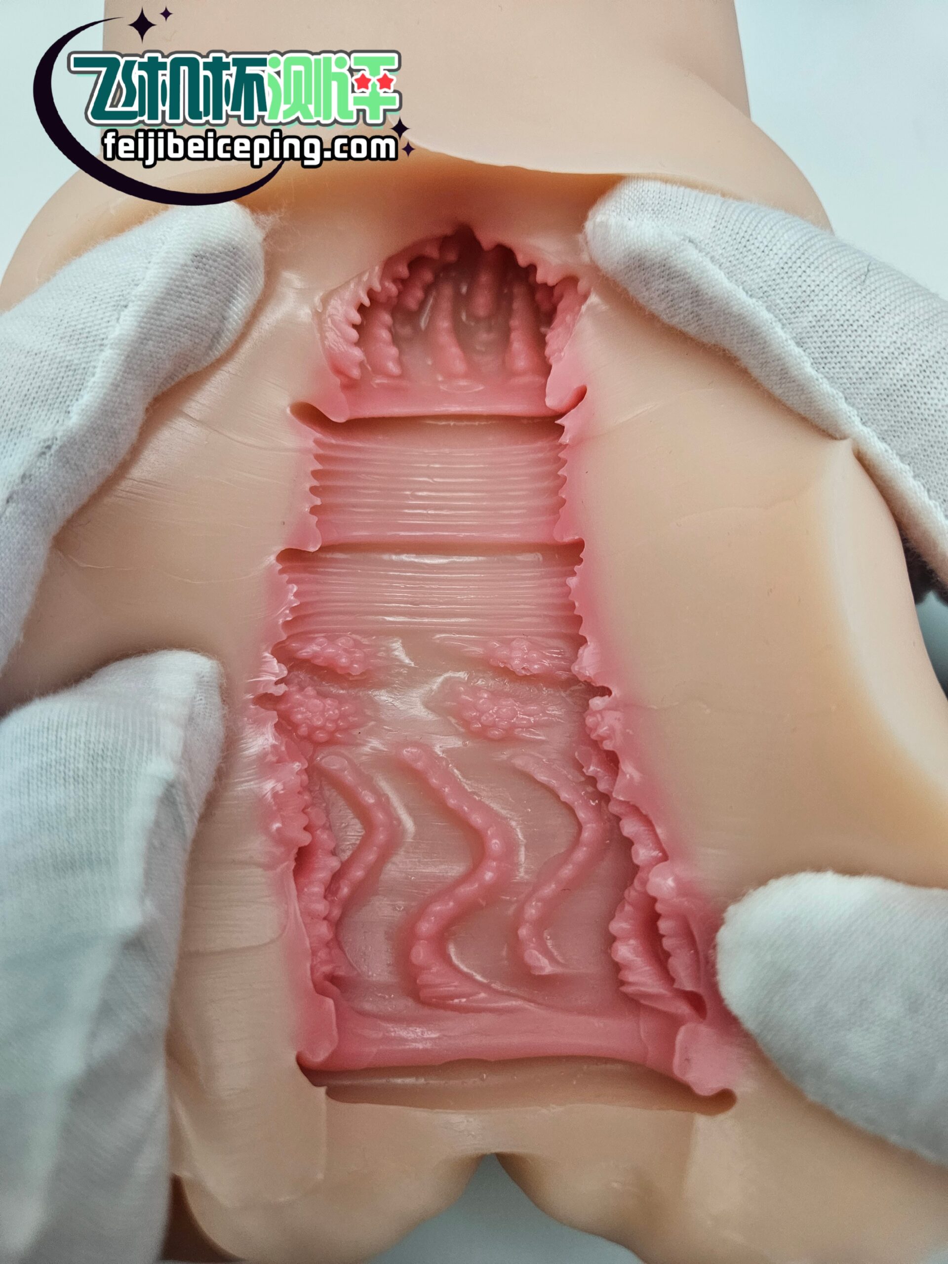 61E8F5741BED3825CD017F6F6F786357