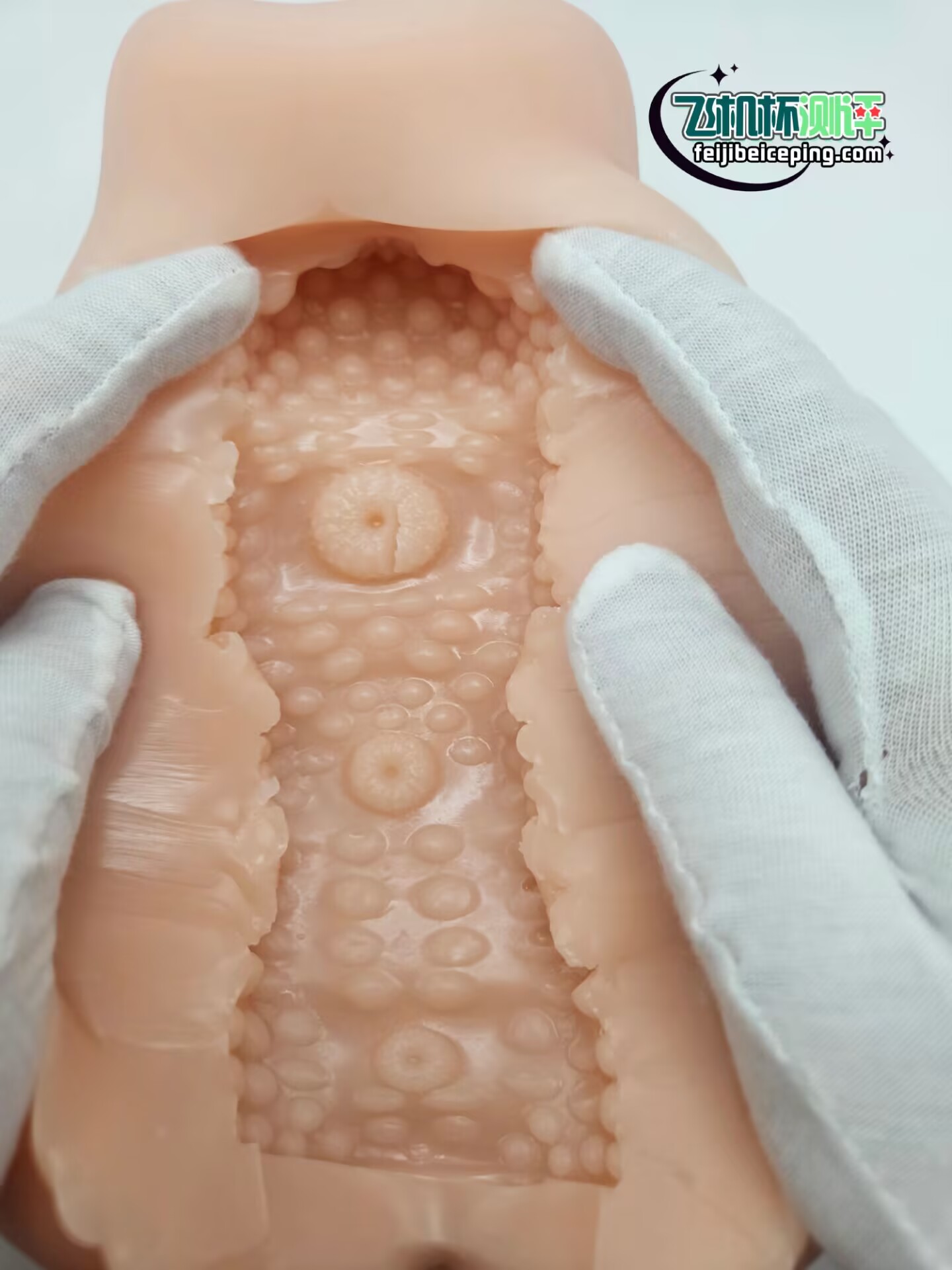 6A45905CA91C96A2CF16D85E303C42E2