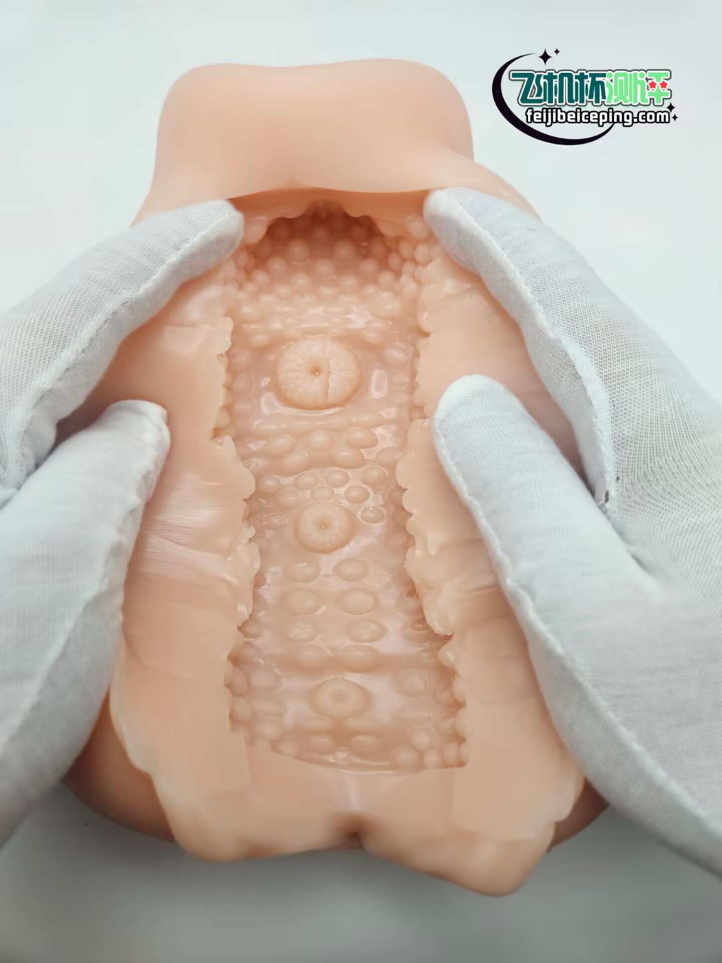 9101DFF581BB369C7378456CC6701DC5