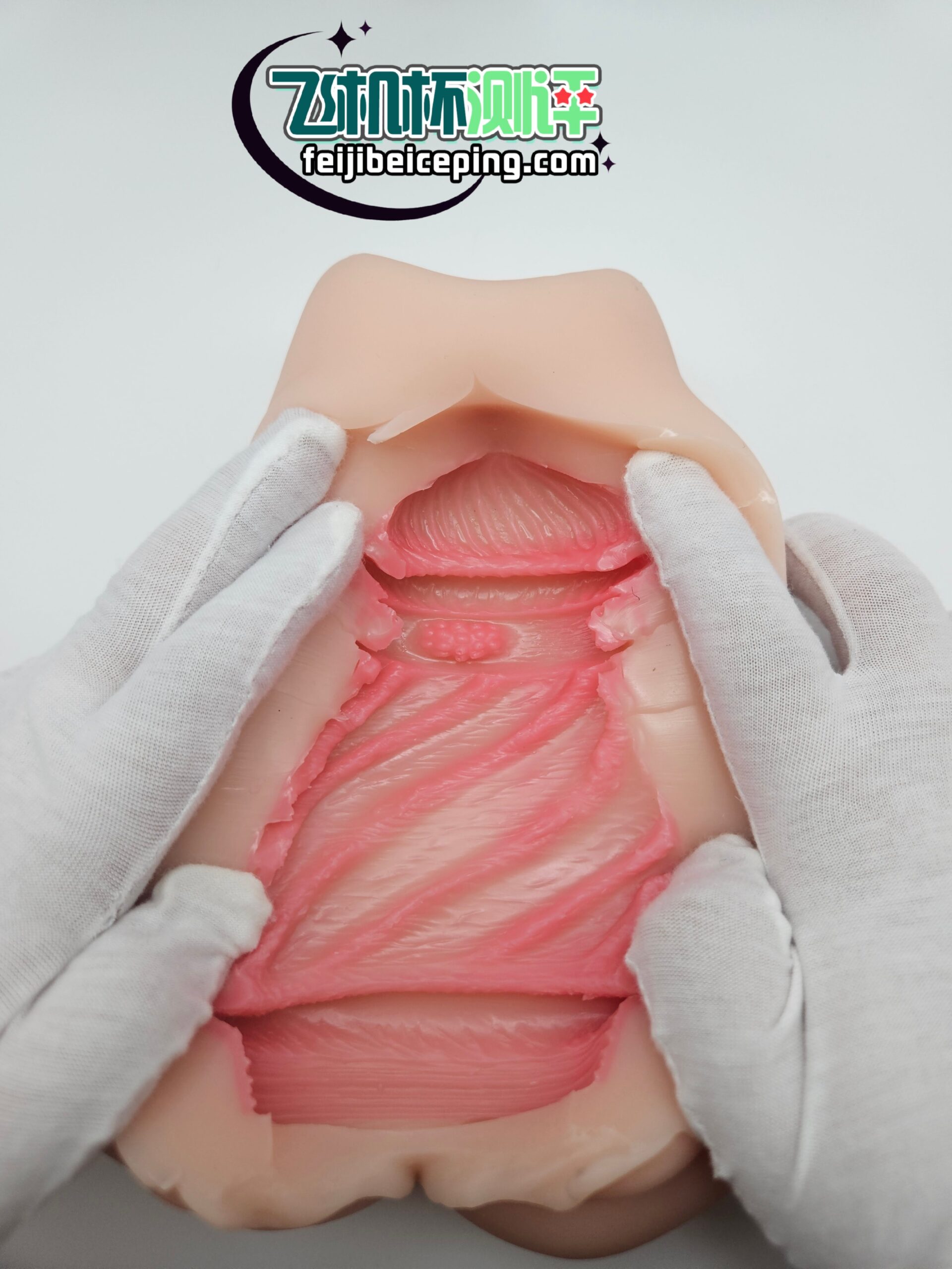 91442C1E1512DC4FE8A67F5263D1E746