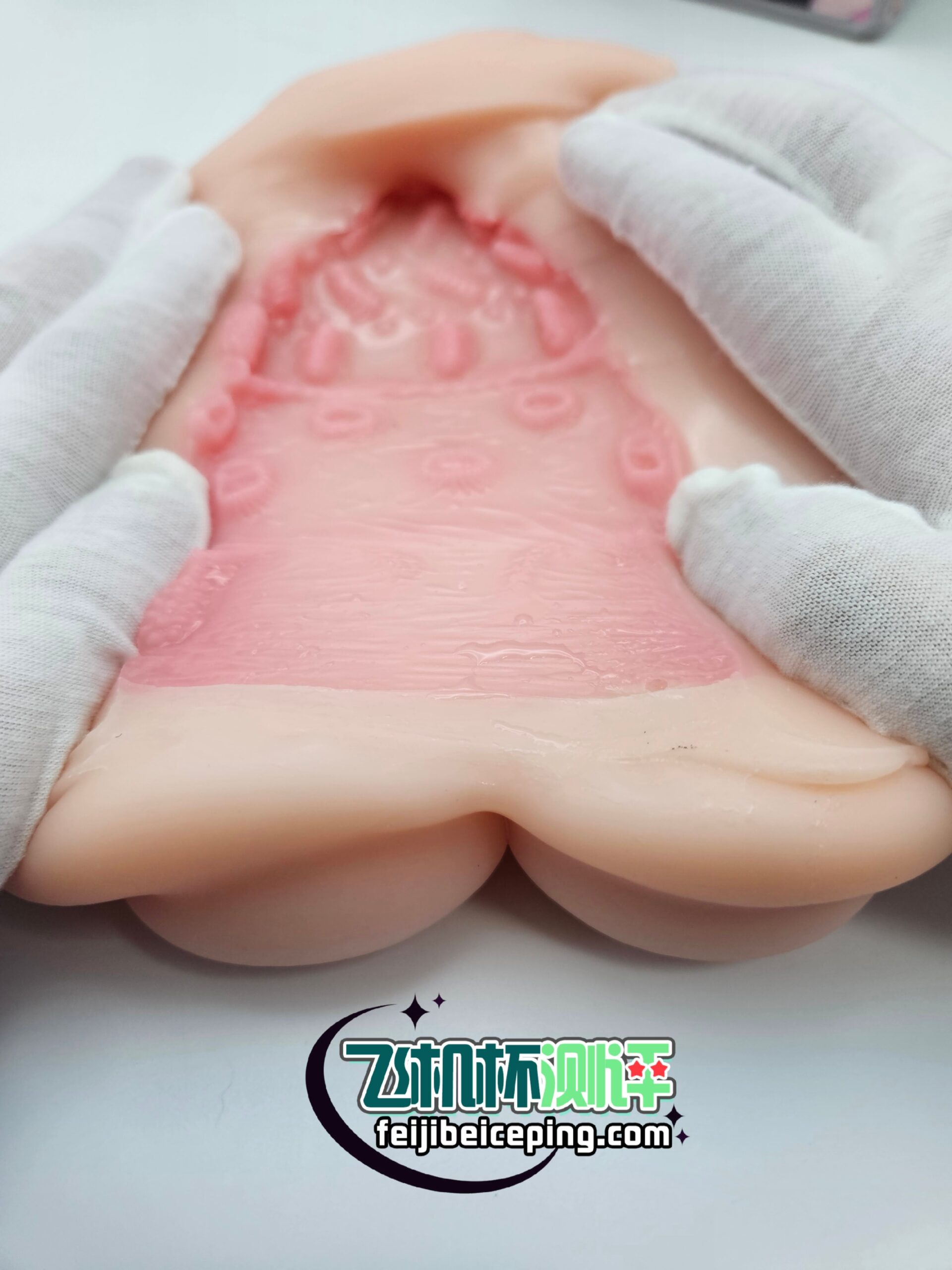 A31F301EA43CDBC635A4C13537828C56