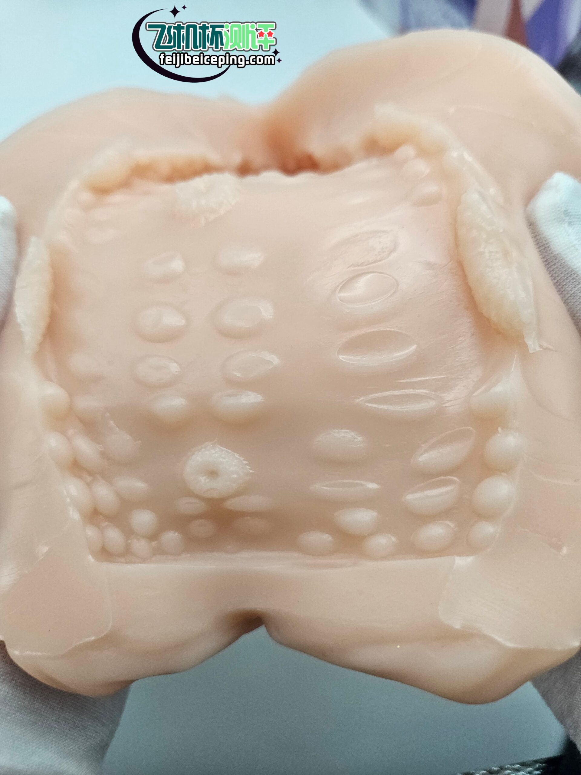 FF2AAAF72953182993E3892A0FB5B860