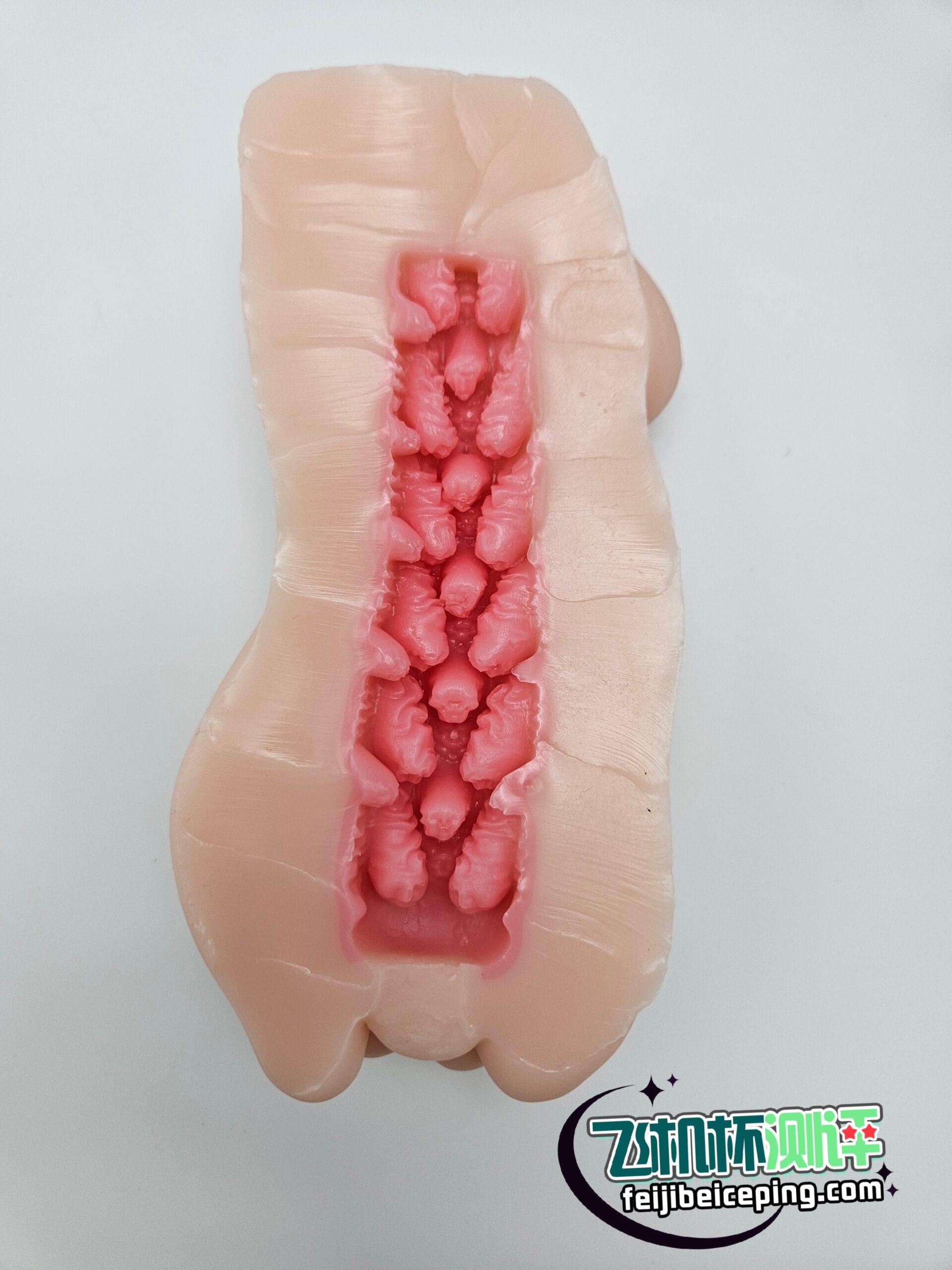 648A1B9965FA4535558B20F0C6EF6BE4