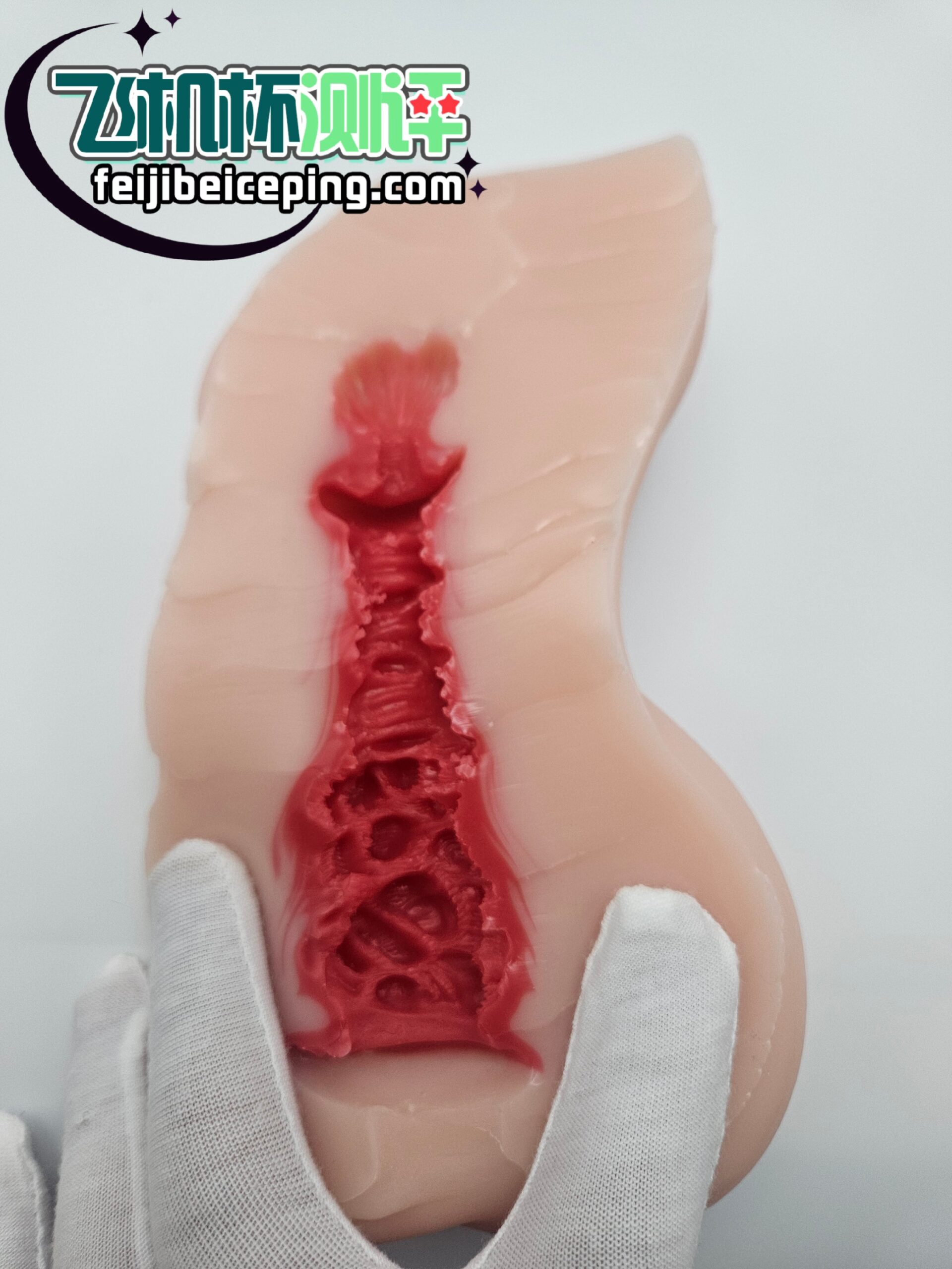 99617B8E7B95A8BFAE7A463E8053A053