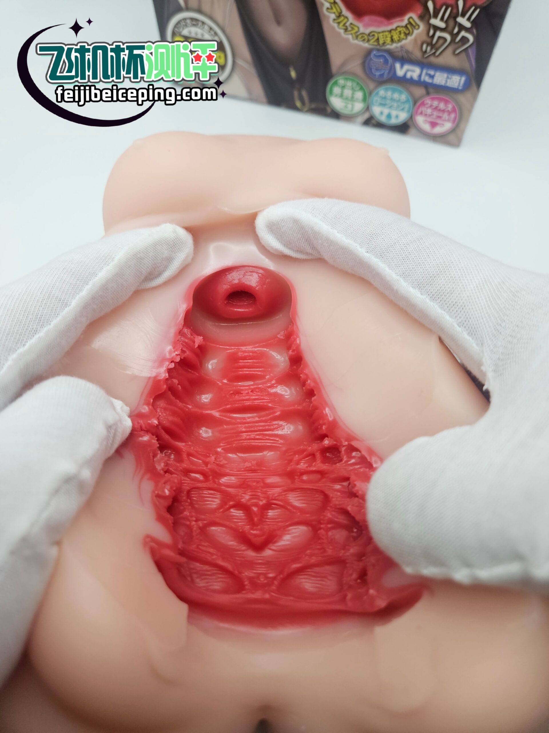 DC479733FD1B1CFF5DC7402146F8ACB2