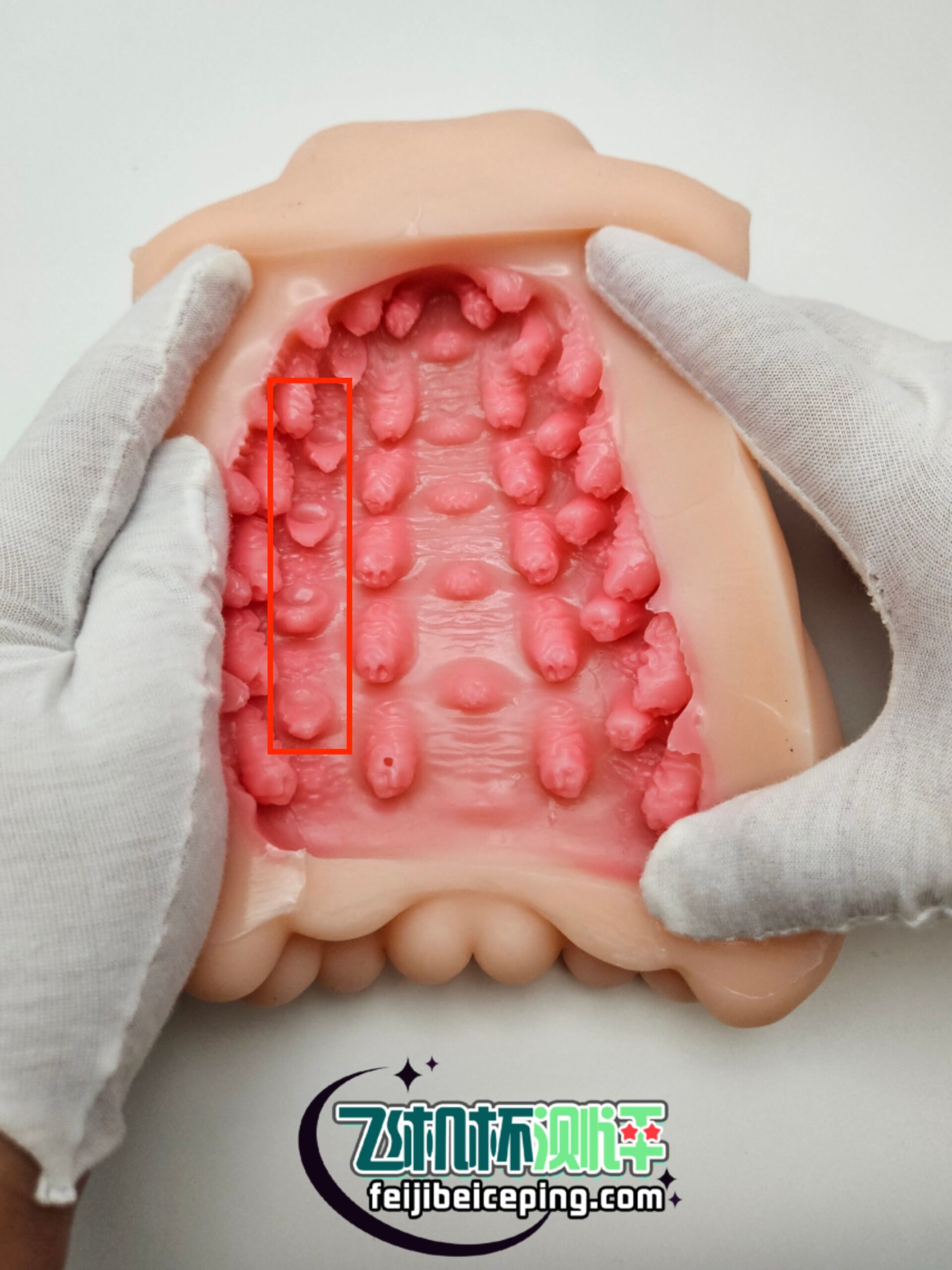 bec84239d553802dc5b12e7e02daf8e3