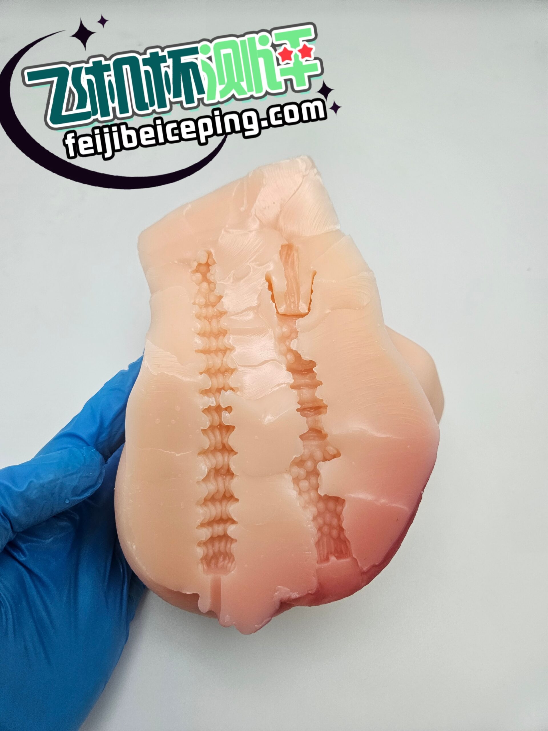 79E6CCF9328A70D28B27CA8AFE531853