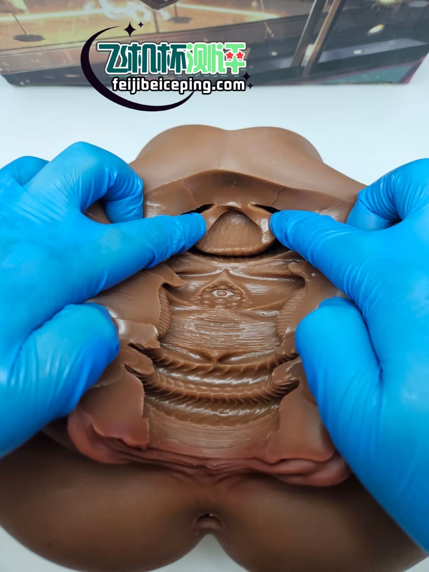 795BAFB2150FF54E1776D4B4F271A9F1