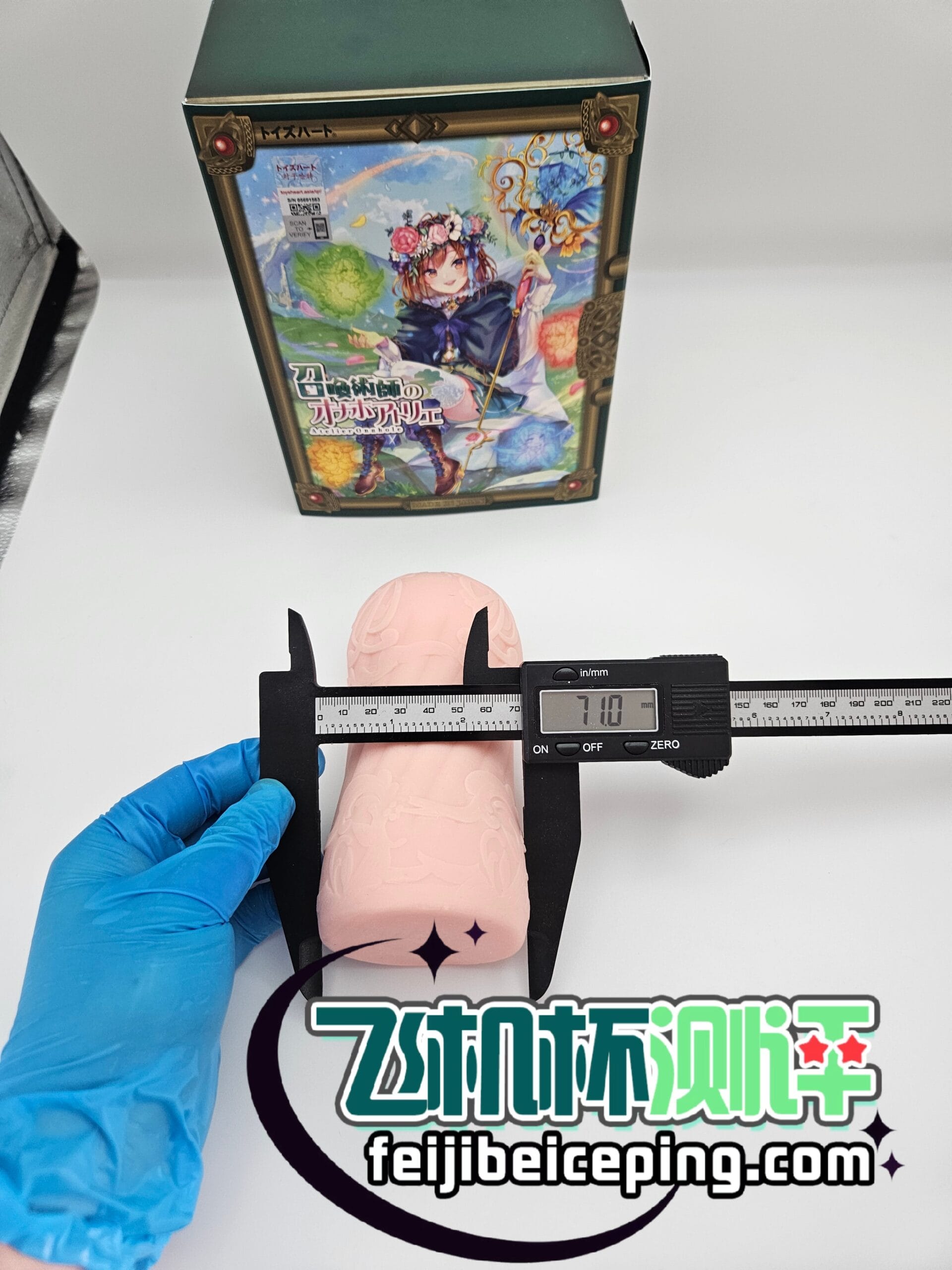 CD27E5C2F1A2FCE281A6A99312CF0594