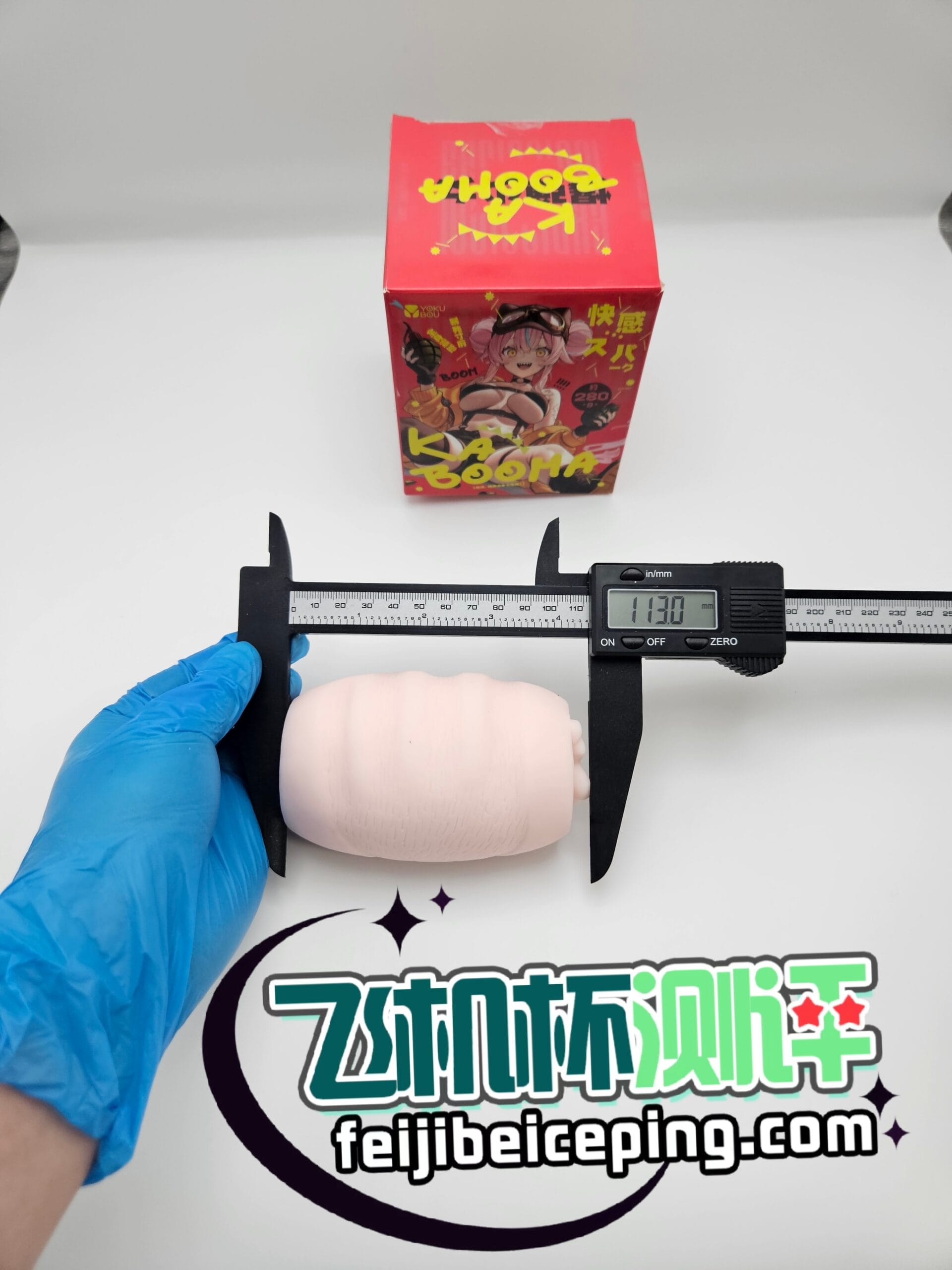 EF21A83B307617AB51FD54E81BA9747F