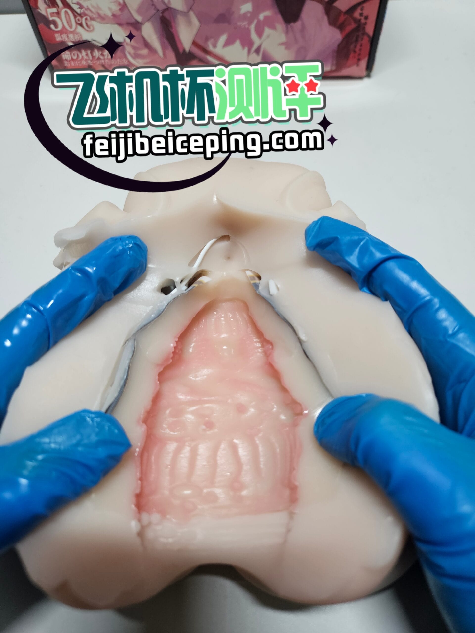 3EEFB37E160C856C77704A48DBCD6151