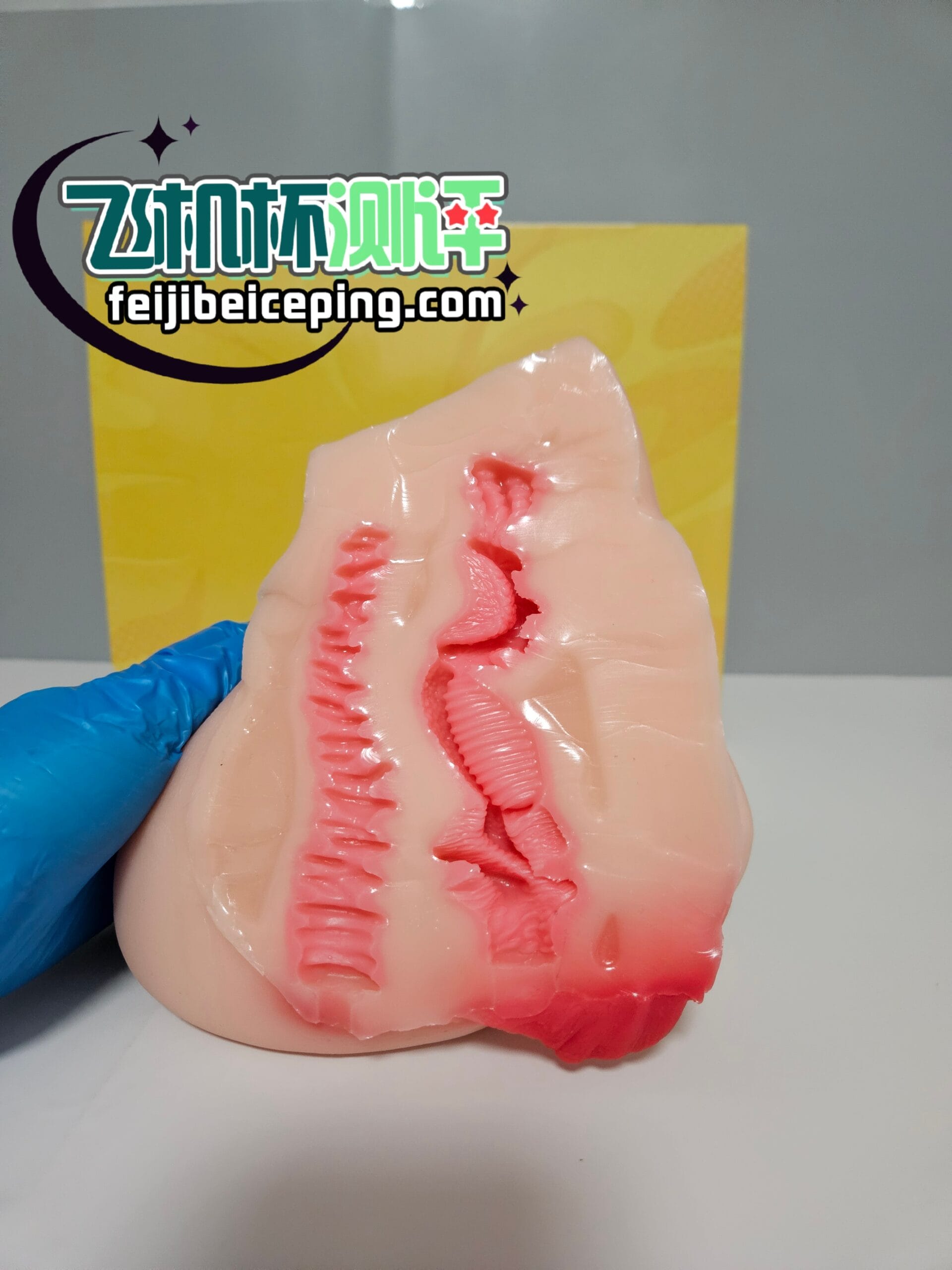 B8B653223AE12B9B850407EDB9C29D1C