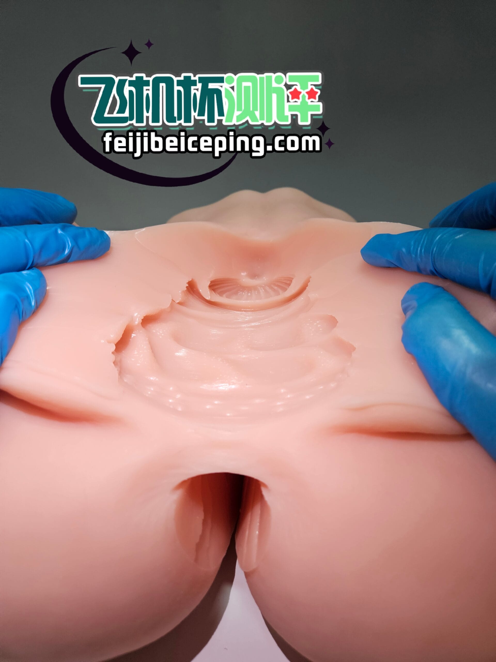 04C8F75085E2042C9D46D4E4C9ED67A3