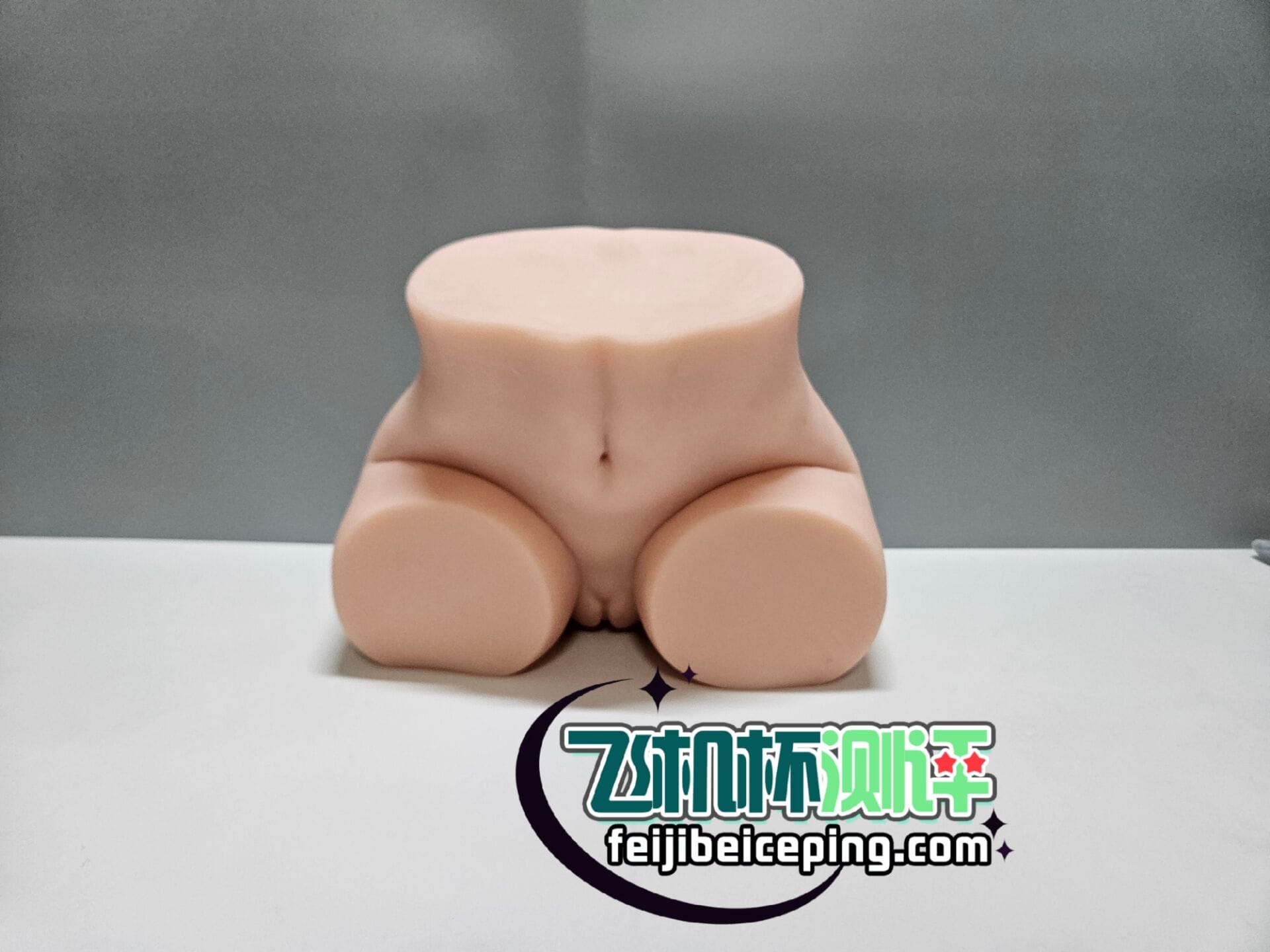 1526920A37C93E4A74362E1A3B816886