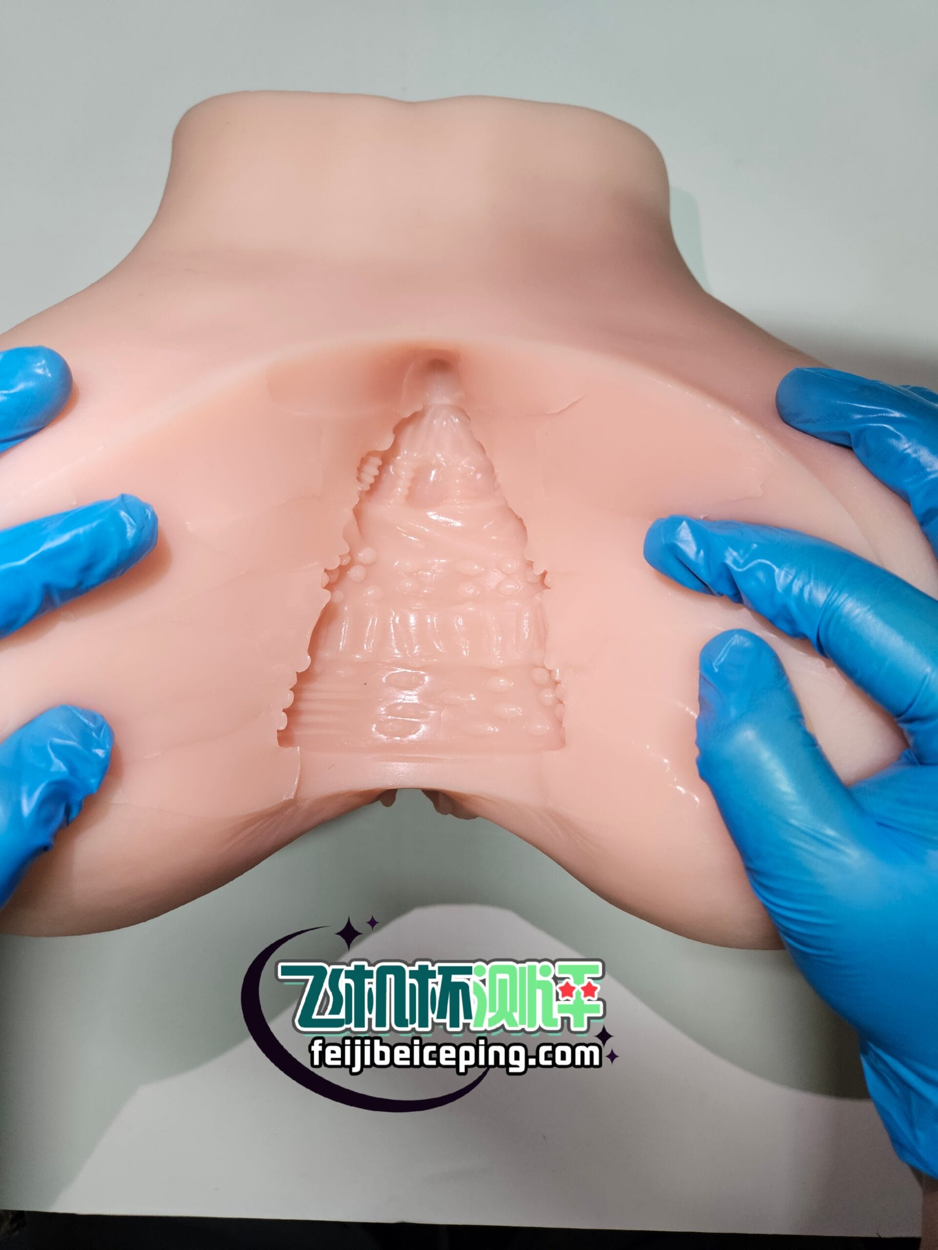 23366E359A300C1AC83E1284D14D2195