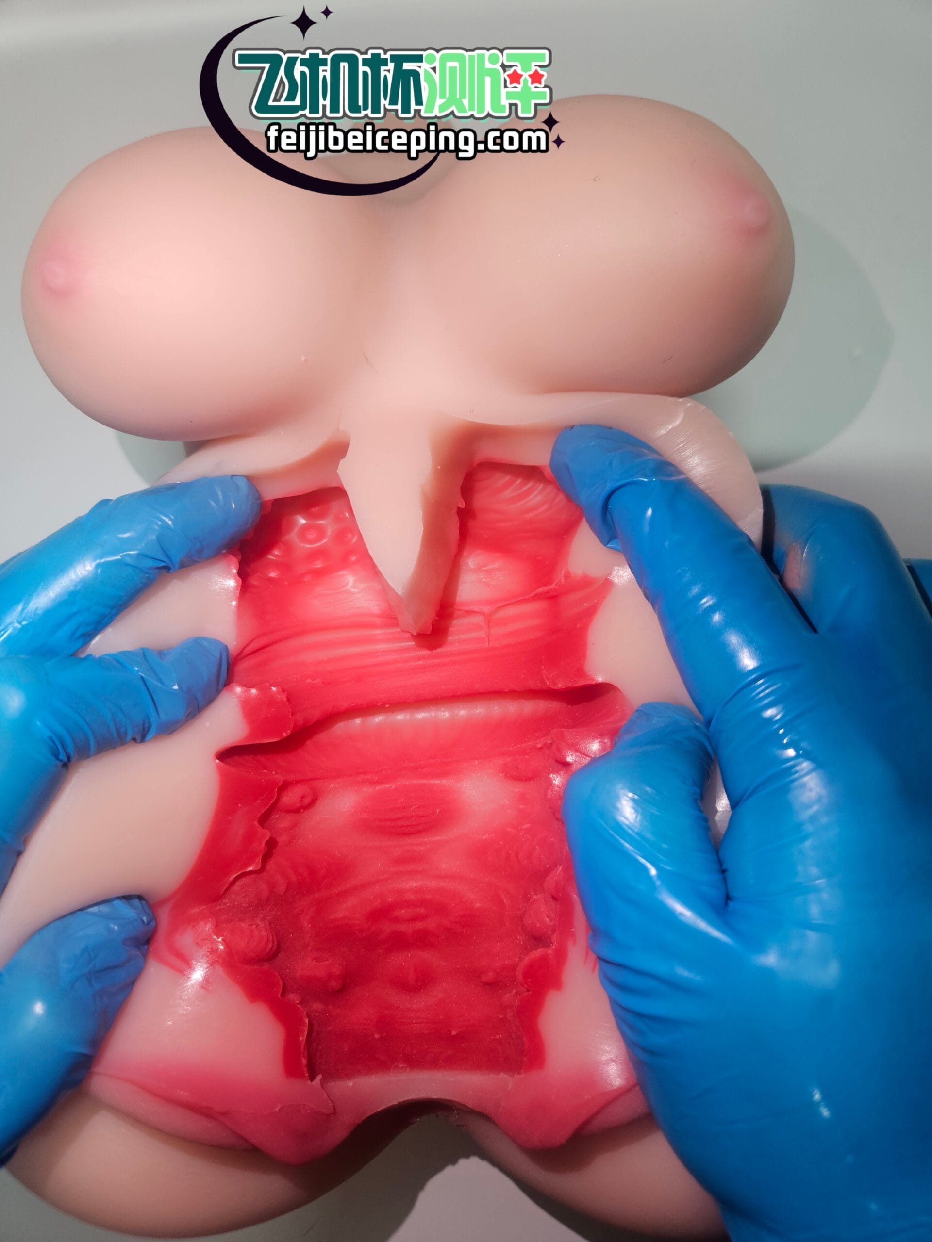 683A2C44F4D866B20A1AD93E950FF92A