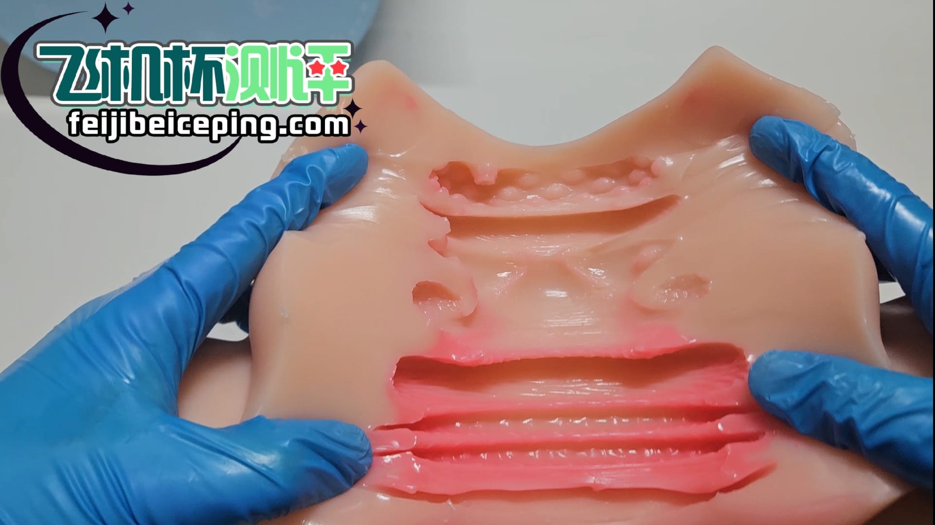 287B93BC65ED77162E8F70351D22D3E1