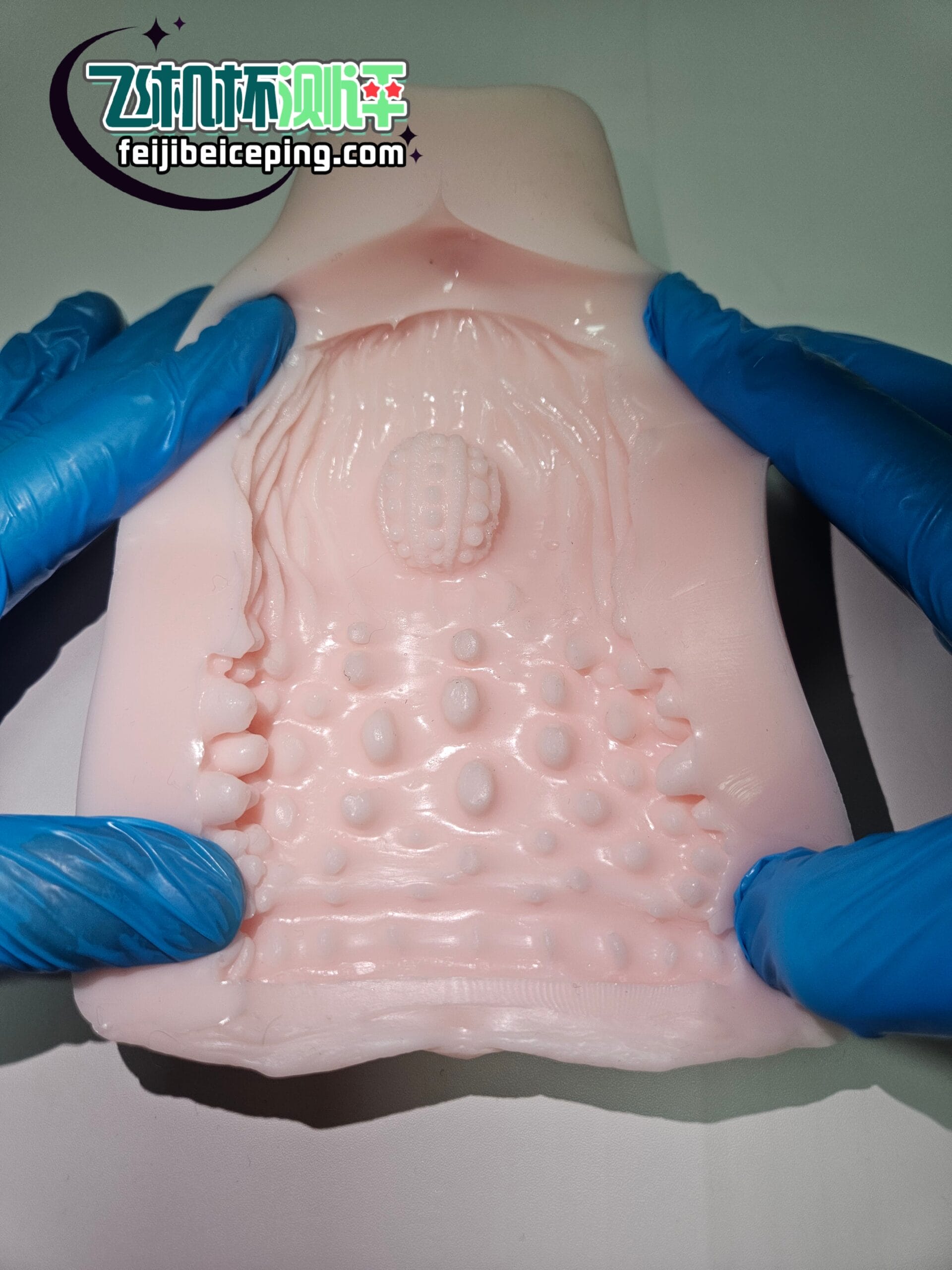 6650465C2B39D5111C63A848A7C318A3