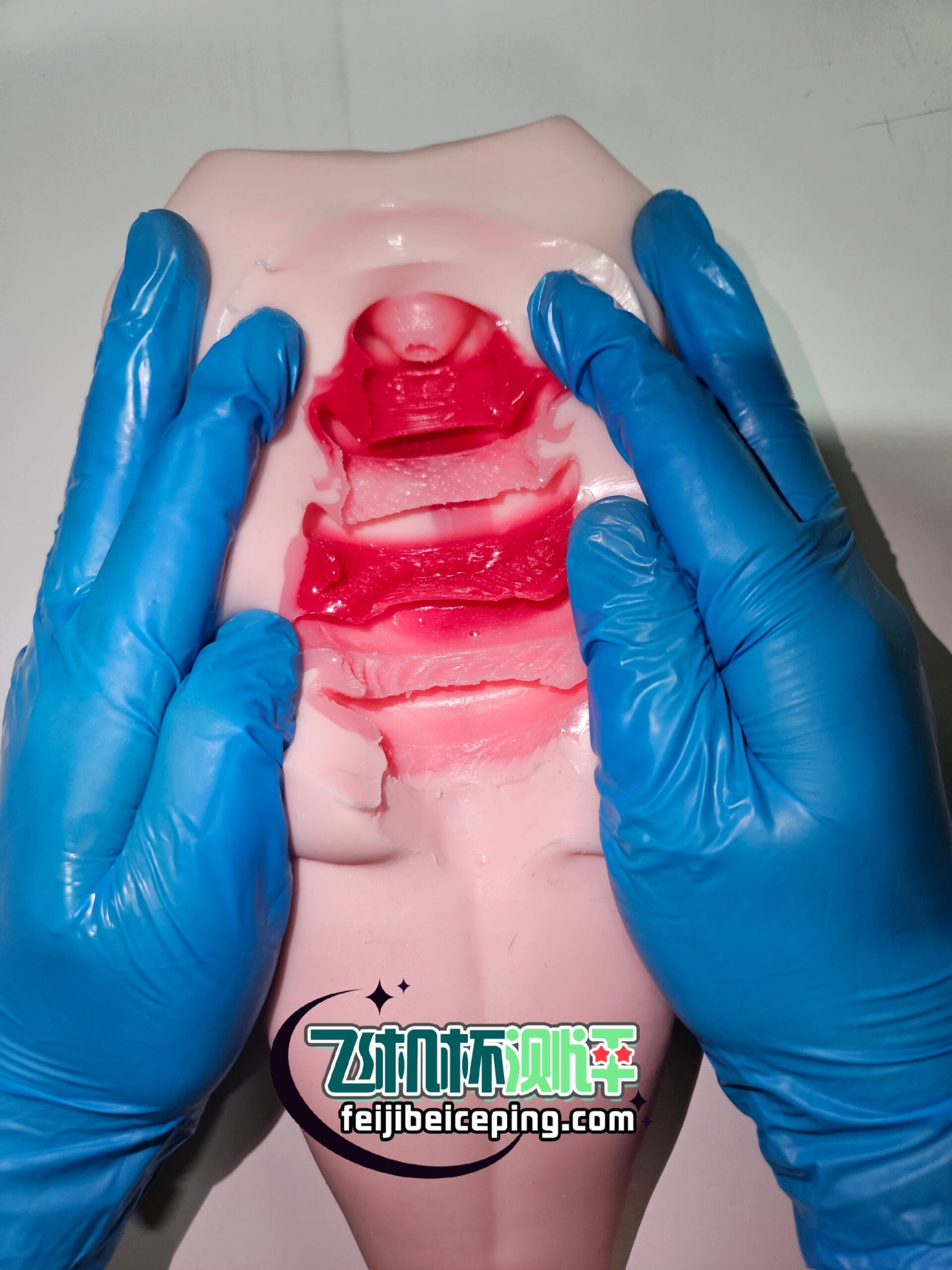 A2613FDCDA73F231D2743E9E2B2989AD