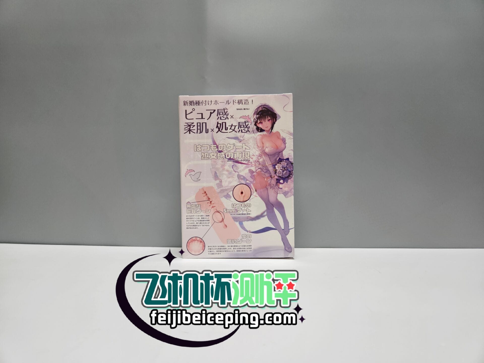 BE513092D069E52C5D45D2FB61346746