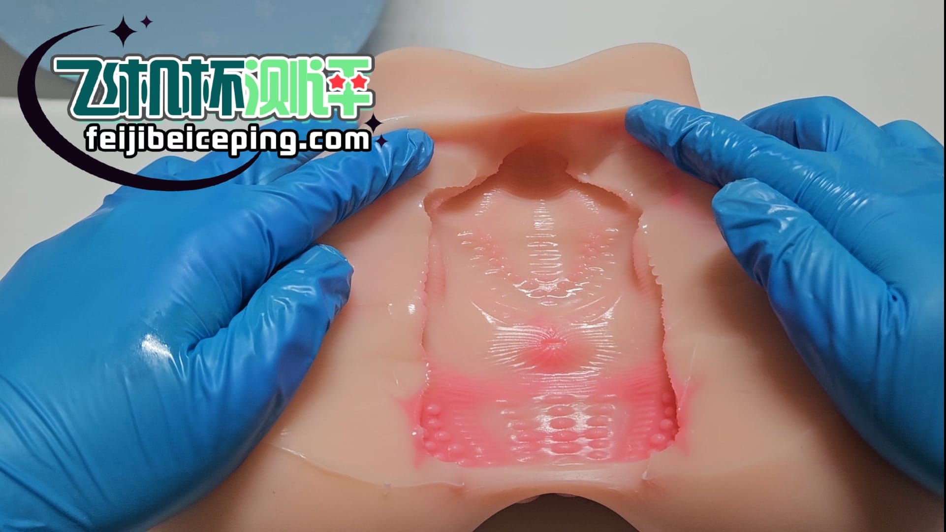 E3D1F4C66F8AACA8392FC9B6A4A13376