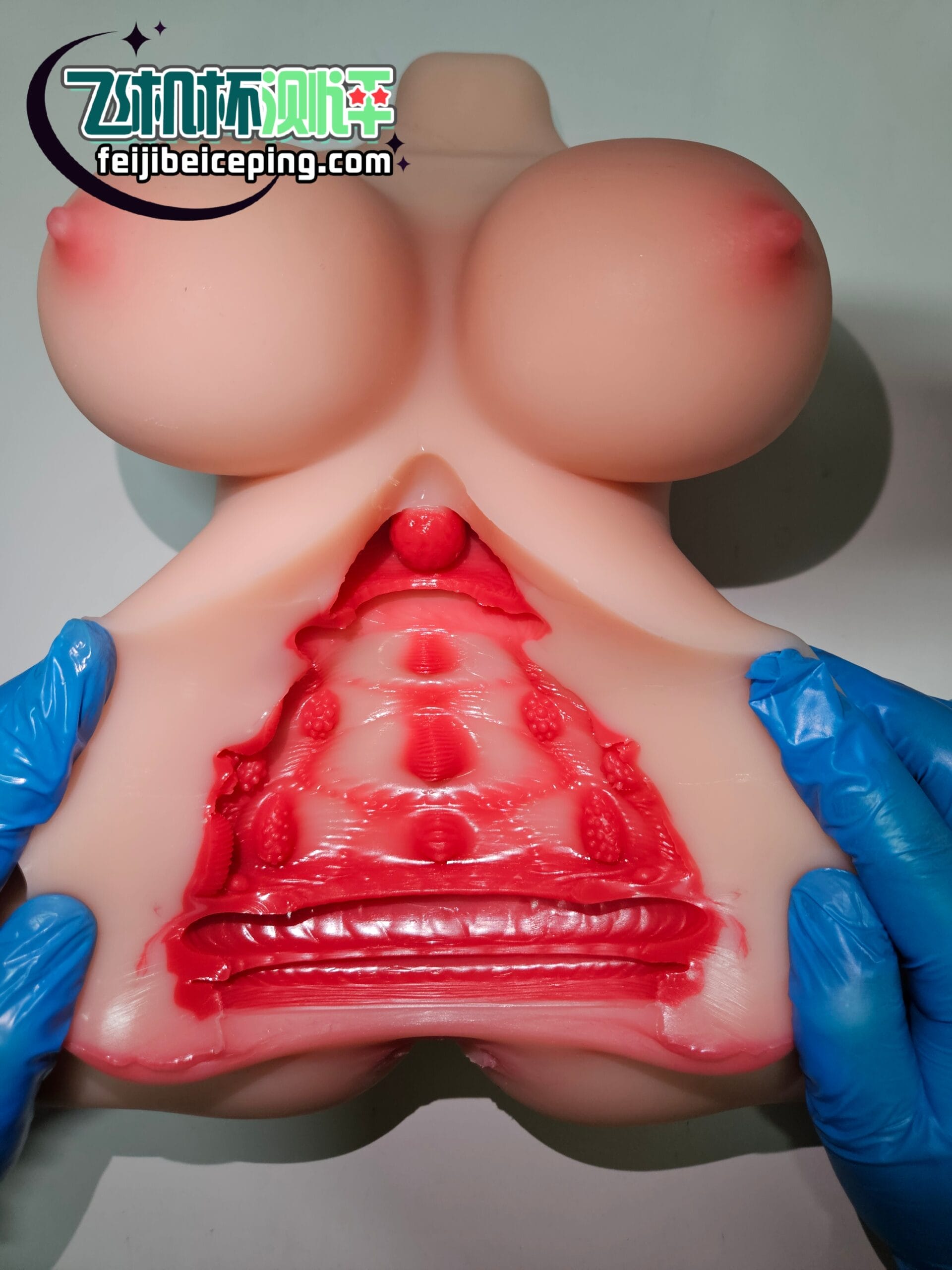 8FF8D8218E669F528B2E95503223BAF0