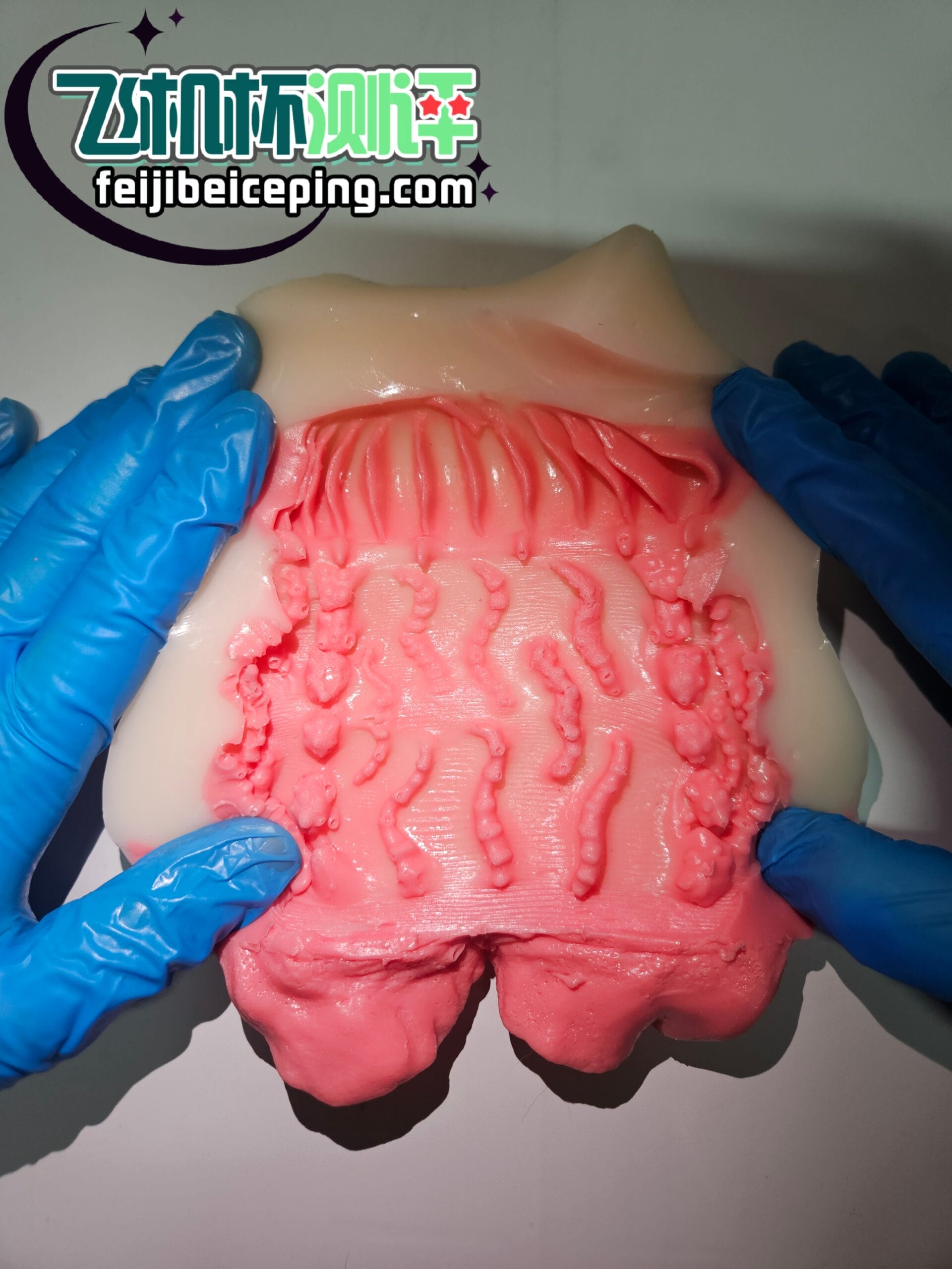 B6C18B653029CD651D66A8BB04F213AE