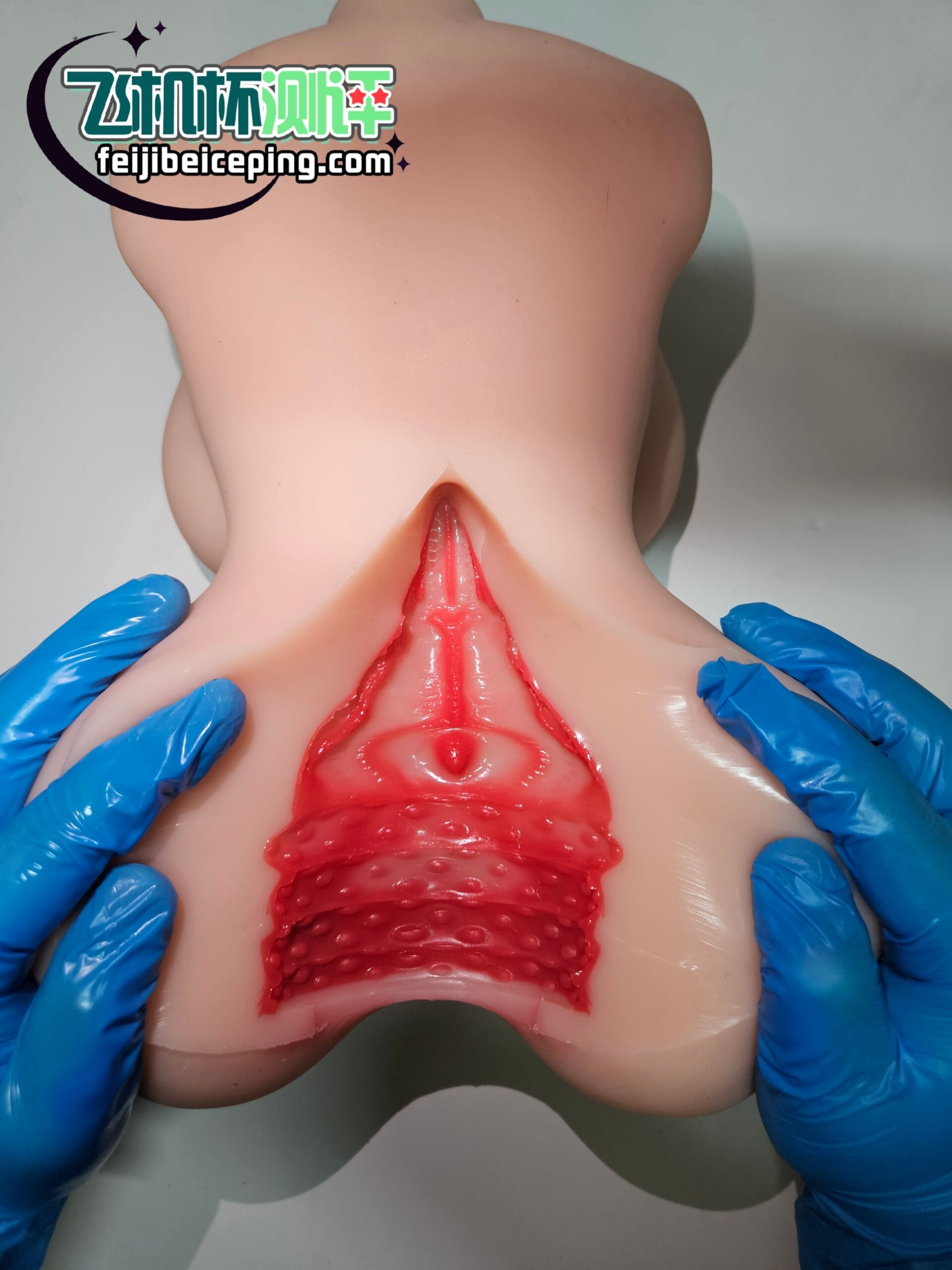 E9BC721C99998EF2BC66E0A82032D21C