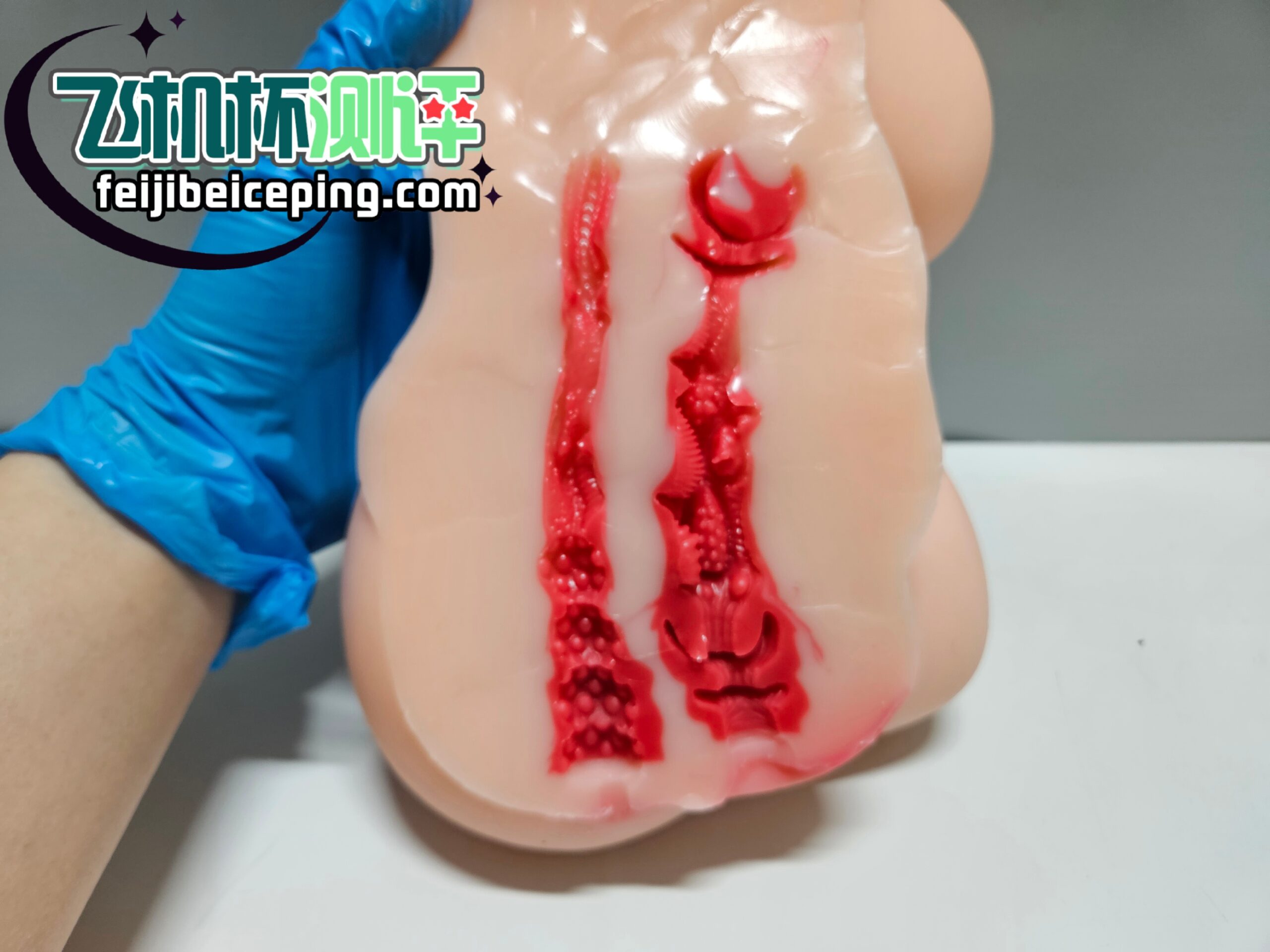 EA231E8E55350E9D65B58213F1FEFA33