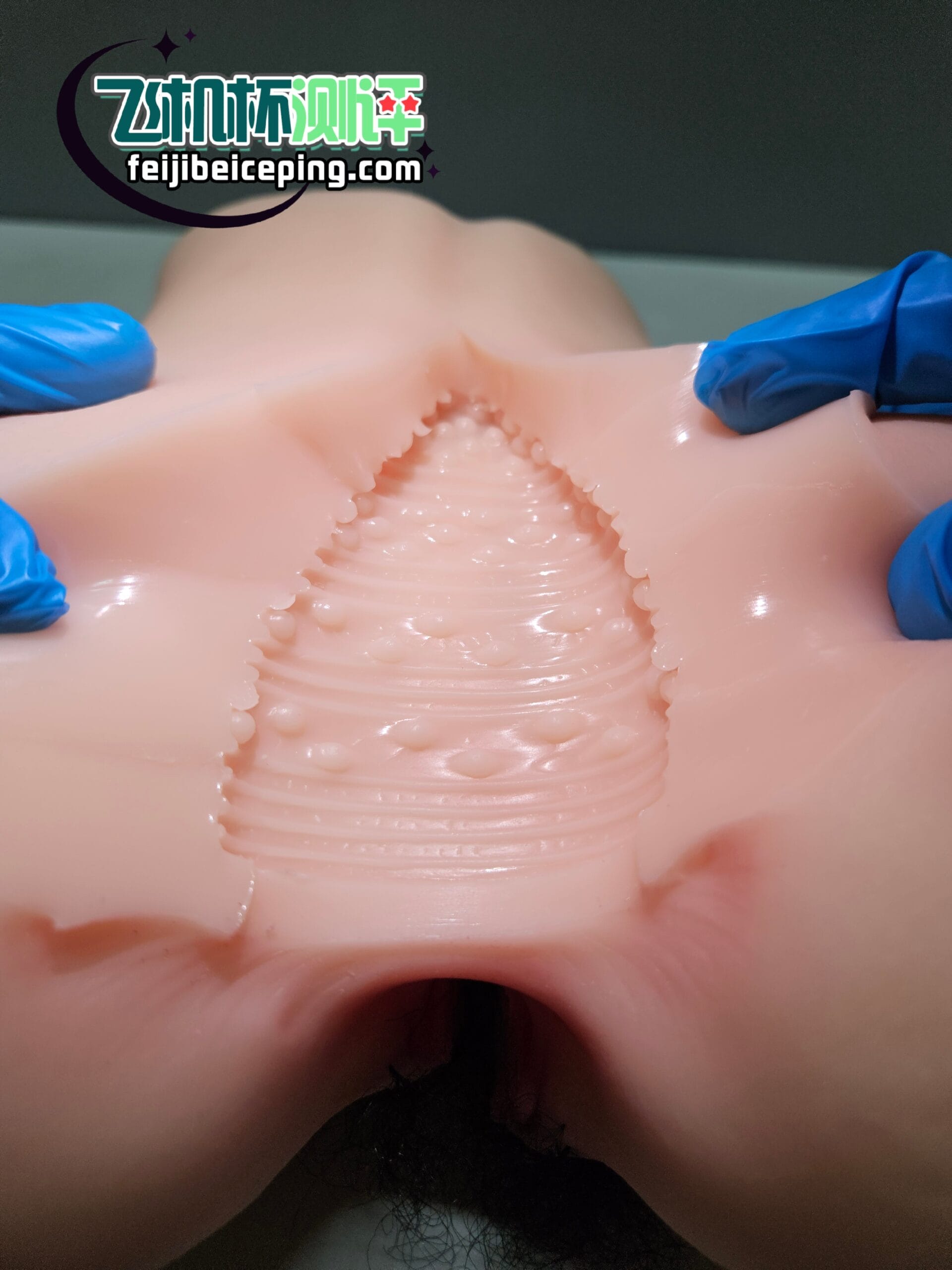 296CDBC12A645151F8BD9D747FB95955