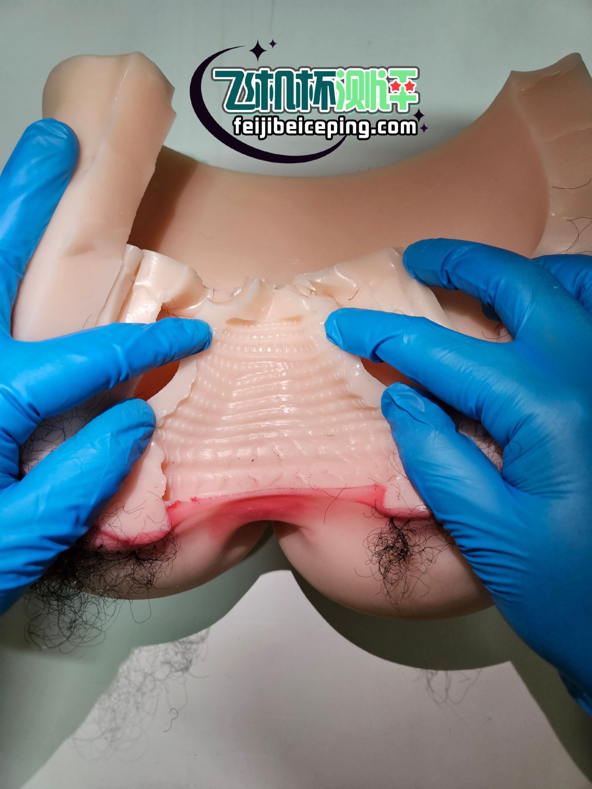 E98619F8A847F7A476E9FE86EDA30201